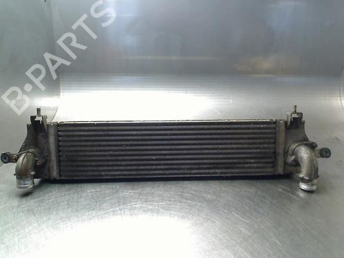 Intercooler Intercooler NISSAN QASHQAI I (J10, NJ10) 1.5 dCi (103 hp) 34690942 34690942