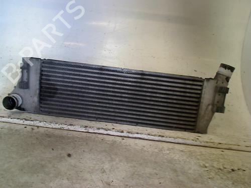 Used Intercooler Intercooler RENAULT MEGANE II (BM0/1_, CM0/1_) 1.5 dCi (BM0F, BM0T, BM2B, CM0F, CM0T) (82 hp) 34669157 34669157