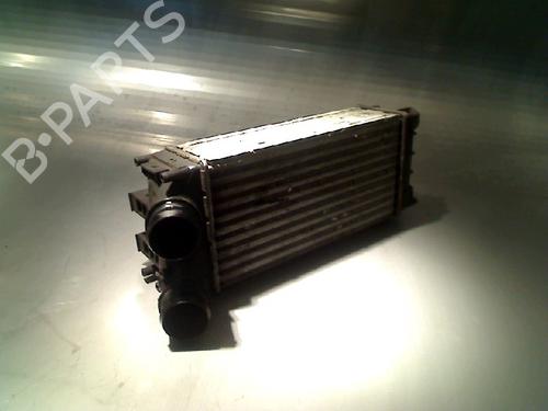 Intercooler Intercooler PEUGEOT PARTNER Box Body/MPV 1.6 HDi (90 hp) 34676361 34676361