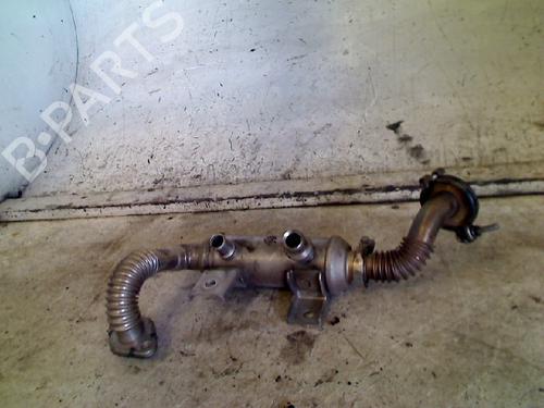 Used Egr Egr FORD TRANSIT CONNECT (P65_, P70_, P80_) 1.8 Di (75 hp) 34674542 34674542