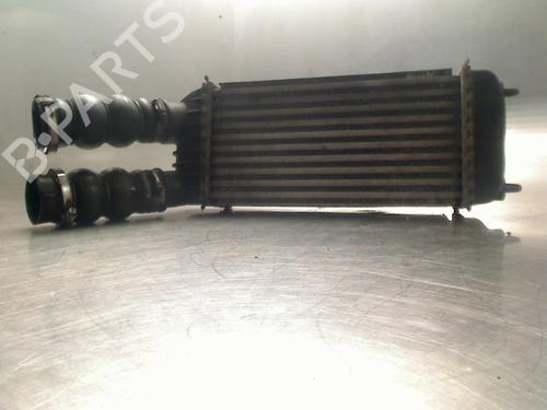 Intercooler Intercooler PEUGEOT EXPERT Van (VF3A_, VF3U_, VF3X_) 1.6 HDi 90 16V (90 hp) 34686014 34686014