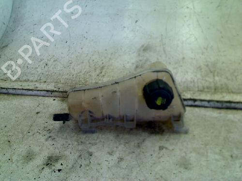 expansion-tank-renault-kangoo-express-fw01_-2008-34675294 main image