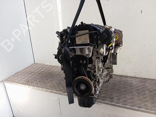 Engine FORD C-MAX II (DXA/CB7, DXA/CEU) | BP36556013M1 - Image 3