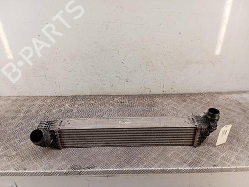 Intercooler Intercooler RENAULT SCÉNIC III (JZ0/1_) 1.6 dCi (JZ00, JZ12) (130 hp) 37452644 37452644