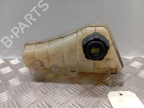 Used Expansion tank Expansion tank RENAULT KANGOO / GRAND KANGOO II (KW0/1_) [2008-2026] 34292525 34292525