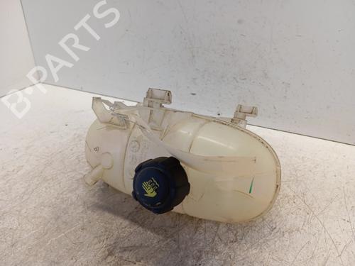 Used Expansion tank Expansion tank OPEL VIVARO B Van (X82) 1.6 CDTI (05) (90 hp) 34291684 34291684
