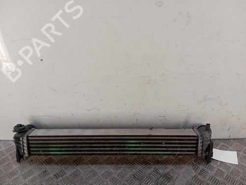 Intercooler Intercooler VW POLO V (6R1, 6C1) 1.6 TDI (90 hp) 34296013 34296013