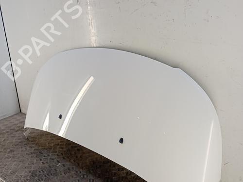 hood-citroen-c3-ii-sc_-2009-34294948 main image