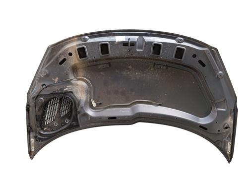 Used Hood Hood PEUGEOT 206+ (2L_, 2M_) 1.1 (60 hp) 34293432 34293432