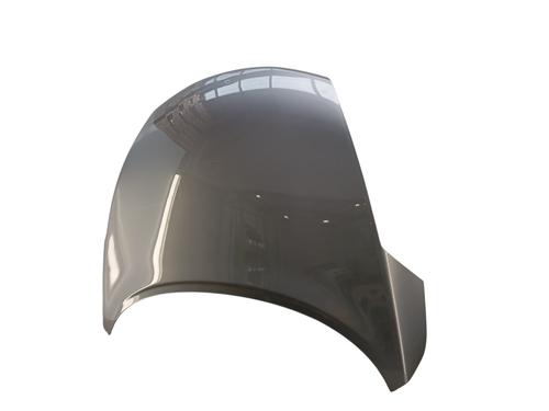 Motorhjelm Motorhjelm NISSAN JUKE (F15) 1.6 (117 hp) 34357291 34357291