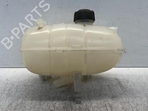 Used Expansion tank Expansion tank RENAULT TRAFIC III Van (FG_) 2.0 dCi 120 (FGMN) (120 hp) 34291115 34291115