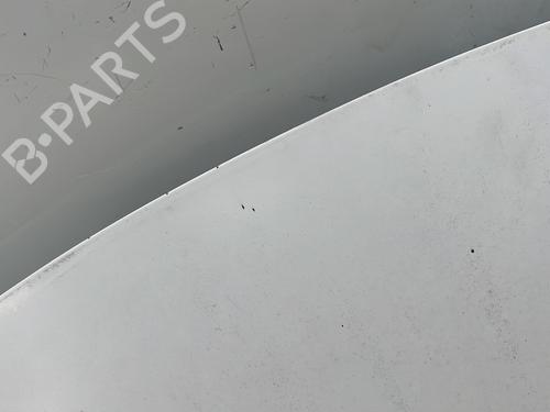 hood-citroen-c3-ii-sc_-2009-34293920 main image