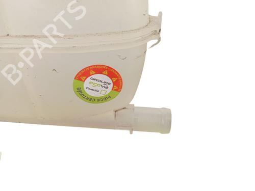 expansion-tank-renault-zoe-bfm_-2012-34293643 main image