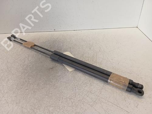 Used Tailgate lift support Tailgate lift support FORD KUGA I [2008-2012] 34291524 34291524