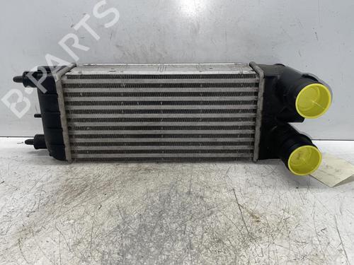 Intercooler Intercooler CITROËN C5 III (RD_) 1.6 HDi 110 (RD9HL0, RD9HR8, RD9HRA) (112 hp) 34289928 34289928