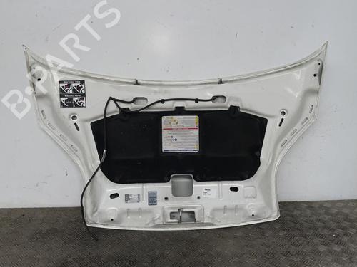 Used Hood Hood CITROËN NEMO Box Body/MPV (AA_) 1.4 HDi (68 hp) 34290360 34290360