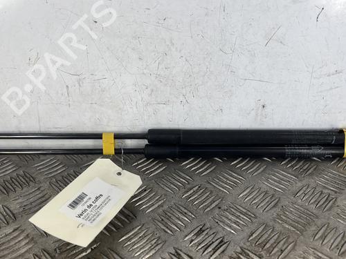 Used Tailgate lift support Tailgate lift support SUZUKI SWIFT V (AZ) [2017-2026] 34295908 34295908