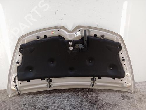 Used Hood Hood 38102101 38102101