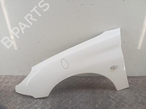 Forskærm venstre Forskærm venstre PEUGEOT 206 Hatchback (2A/C) 1.4 HDi eco 70 (68 hp) 36793615 36793615