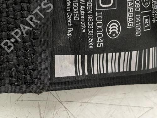 front-right-seatbelt-citroen-c3-ii-sc_-2009-34290173 main image