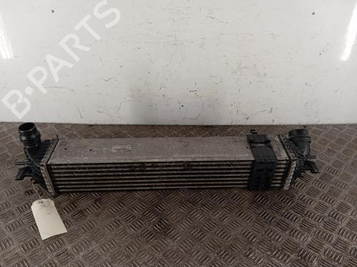 Used Intercooler Intercooler RENAULT LATITUDE (L70_) 2.0 dCi 175 (L70Y, L734) (173 hp) 34295483 34295483
