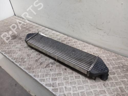Intercooler Intercooler FORD C-MAX II (DXA/CB7, DXA/CEU) 2.0 TDCi (140 hp) 34292134 34292134