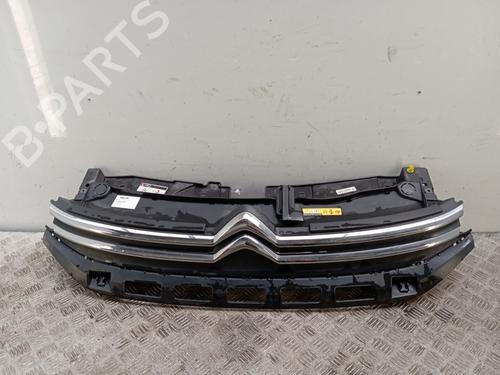 grille-citroen-c3-iii-sx-2016-34293443 main image