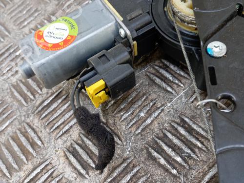 front-left-window-mechanism-ford-ka-ru8-2008-2009-2010-2011-2012-2013-2014-2015-2016-34296774 main image