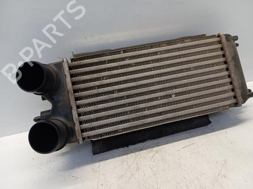 Used Intercooler Intercooler FORD B-MAX (JK) 1.5 TDCi (95 hp) 34292434 34292434