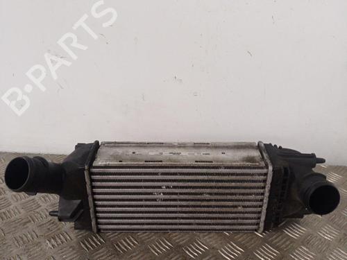 Intercooler Intercooler CITROËN C5 III Break (RW_) 2.0 HDi 140 (140 hp) 34289834 34289834