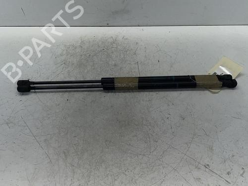Used Tailgate lift support Tailgate lift support RENAULT SCÉNIC II (JM0/1_) [2003-2010] 34290036 34290036