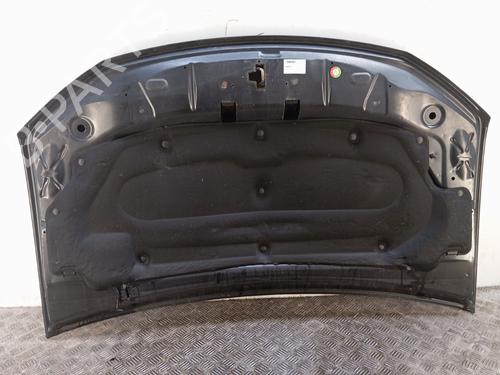 hood-dacia-sandero-ii-2012-36441239 main image