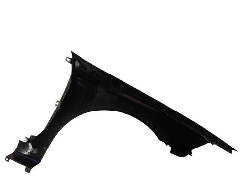 left-front-fenders-renault-laguna-ii-bg01_-2001-2002-2003-2004-2005-2006-2007-34294524 main image