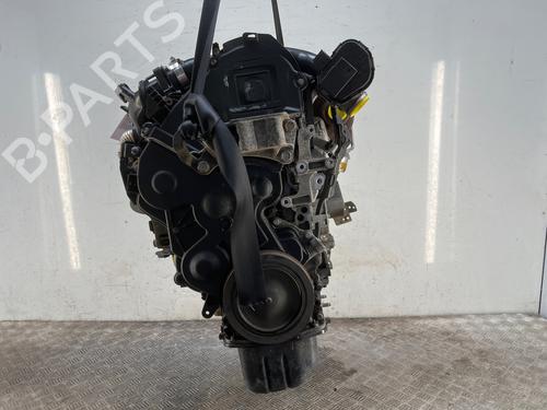 Engine FORD MONDEO IV (BA7)  | BP38079931M1  - Image 6