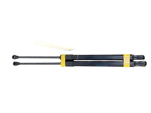 tailgate-lift-support-dacia-sandero-iii-2021-37738949 main image