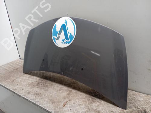 Used Hood Hood RENAULT CLIO III (BR0/1, CR0/1) 1.5 dCi (BR17, CR17) (86 hp) 34291496 34291496