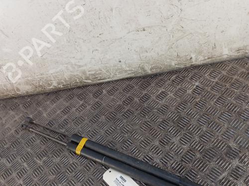 Used Tailgate lift support Tailgate lift support VW MULTIVAN T5 (7HM, 7HN, 7HF, 7EF, 7EM, 7EN) [2003-2016] 34295026 34295026