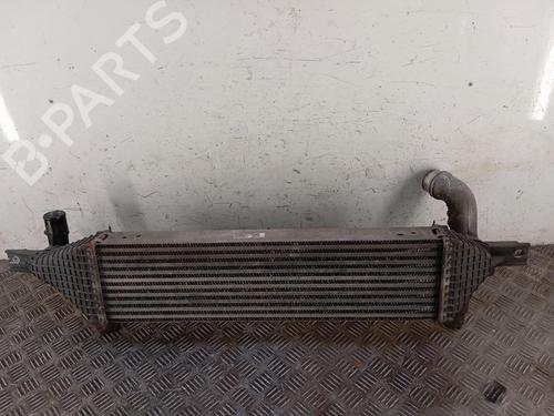 Intercooler Intercooler NISSAN QASHQAI I (J10, NJ10) 1.6 dCi (130 hp) 37452638 37452638