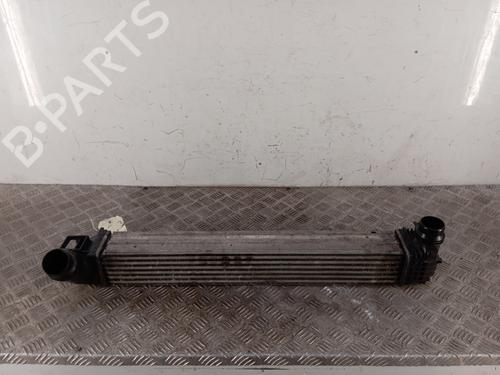 Used Intercooler Intercooler RENAULT SCÉNIC III (JZ0/1_) 1.5 dCi (110 hp) 34295869 34295869