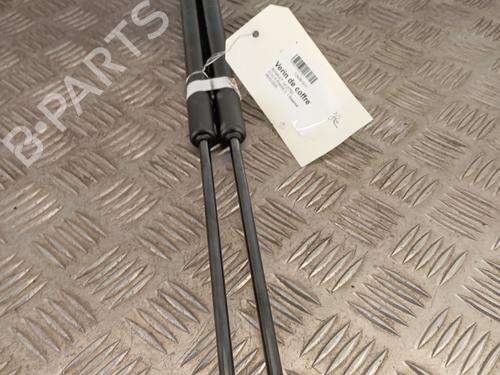 Tailgate lift support RENAULT CLIO V (B7_) 1.0 TCe 90 (B7MT) | BP37739060C138 - Image 2