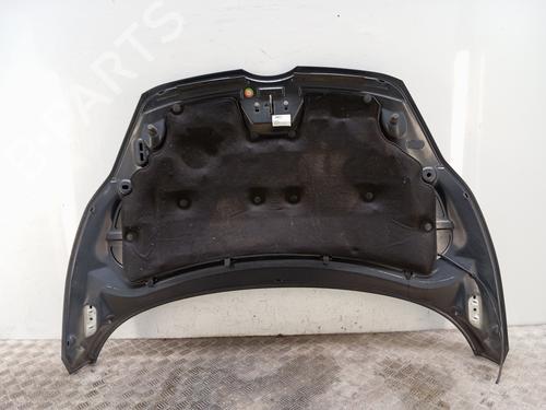 Capot Capot FORD FIESTA VI (CB1, CCN) 1.25 (82 hp) 34415024 34415024