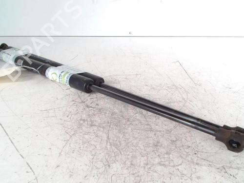tailgate-lift-support-renault-clio-iv-bh_-2012-2013-2014-2015-2016-2017-2018-2019-2020-2021-34290021 main image