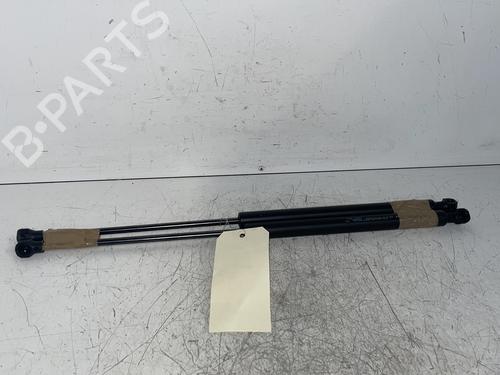 tailgate-lift-support-renault-twingo-iii-bcm_-bca_-2014-34290489 main image