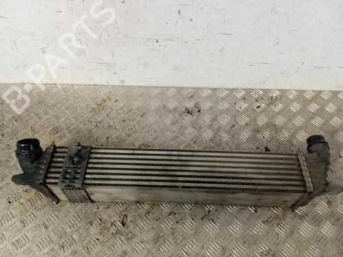 Intercooler Intercooler RENAULT LATITUDE (L70_) 2.0 dCi 150 (L70H) (150 hp) 34298357 34298357
