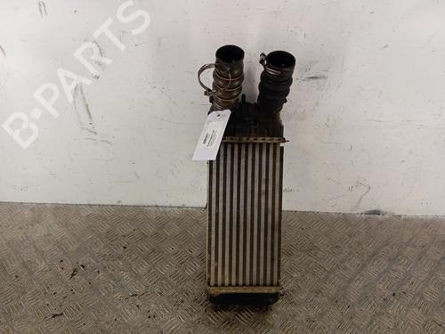 Intercooler Intercooler CITROËN C3 II (SC_) [2009-2026] 34303318 34303318