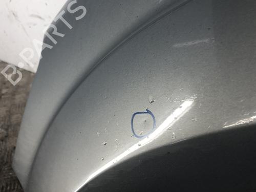 Forkjerm venstre Forkjerm venstre FORD S-MAX (WA6) 1.8 TDCi (125 hp) 34301554 34301554