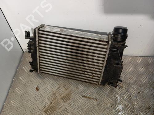 Intercooler Intercooler RENAULT MEGANE IV Hatchback (B9A/M/N_) [2015-2026] 34300538 34300538