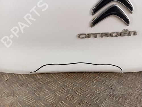 Used Tailgate Tailgate CITROËN C3 III (SX) 1.6 BlueHDi 75 (75 hp) 40501384 40501384