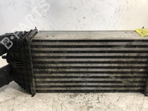 Intercooler Intercooler CITROËN DS3 (SA_) 1.6 BlueHDi 120 (120 hp) 34297960 34297960