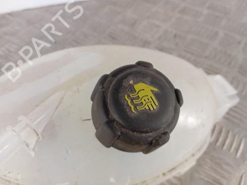 Used Expansion tank Expansion tank RENAULT MASTER III Platform/Chassis (EV, HV, UV) 2.3 dCi 130 FWD (EV0Y, HV0Y, UV0M, UV0Y, UV03) (130 hp) 34301989 34301989
